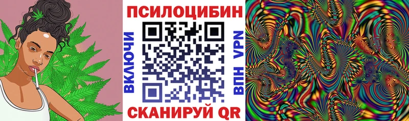 Галлюциногенные грибы мицелий продажа наркотиков Бердск